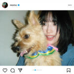 TWICE・モモ、愛犬とのツーショットで世界中を癒す！「はい、可愛い」