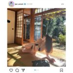 天木じゅん、風流な和室グラビアで圧巻スタイルをアピール！「めっちゃSexyな二次元ボディ超絶たまらん！」の声