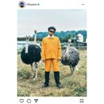 King Gnu・井口理、ダチョウに包囲される「生ダチョウこわかった」