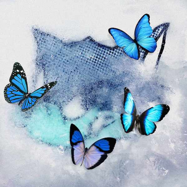 「WOLF HOWL HARMONY（ウルフハウルハーモニー）」の2nd Single『Frozen Butterfly』がラップバトル番組『フリースタイル日本統一』テーマソングに決定！