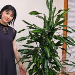 【動画】平川結月が1st写真集『ゆづき。』への思いを語る！