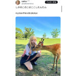 コスプレイヤー・caties、美しすぎるセーラー服で鹿との2SHOTに絶賛の声！！