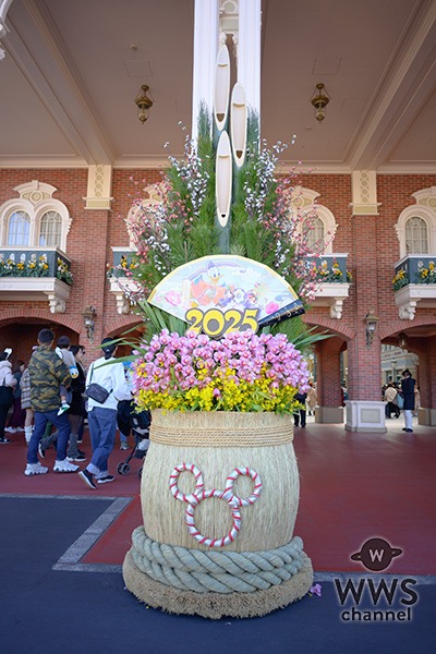 東京ディズニーランドのお正月！華やかで和を感じる新年を楽しむ