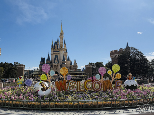 東京ディズニーランド®を満喫！学生必見「春ディズニー！」を攻略