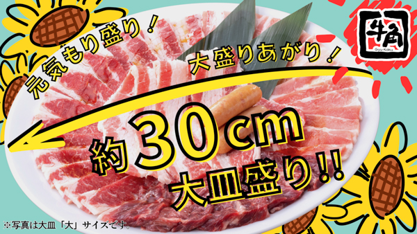 牛角が梅雨時期の猛暑を乗り切るキャンペーンを開始!3種のクーポンを配信!
