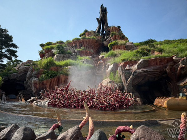 2025ディズニー、夏グルメ＆アトラクション情報をまとめてチェック