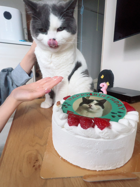 猫好きで「かにゃん」の愛称で知られている天宮花南、愛猫アルの3才の誕生日をお祝い。可愛すぎる溺愛2ショットを公開！
