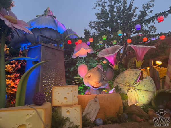 夕方からが本番！夏のディズニーシーを快適に楽しむ