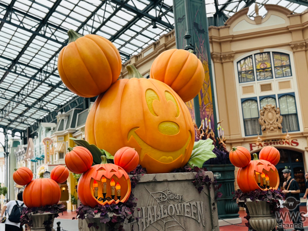ディズニー・ハロウィーン開催！東京ディズニーランドとシーの見どころは？