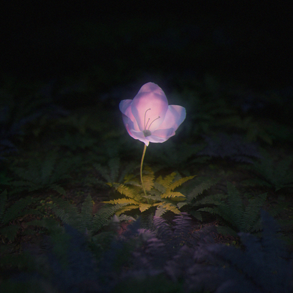 Aile The Shota、10/24リリースの新曲「月見想(Prod. 蔦谷好位置)」Music Video公開で切なさに共感の声