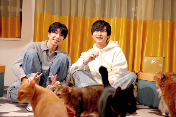 声優・中島ヨシキ＆西山宏太朗、猫だけのライブ配信アプリ「nekochan」で猫尽くしの生配信を実施！