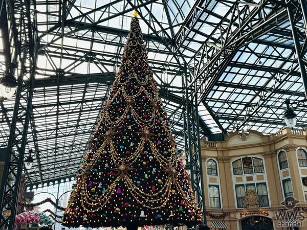 東京ディズニーランド®の2025クリスマス！グルメ、フォトスポットまとめてチェック
