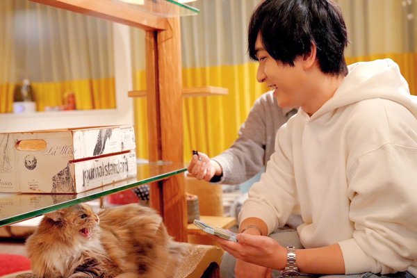 声優・中島ヨシキ＆西山宏太朗、猫だけのライブ配信アプリ「nekochan」で猫尽くしの生配信を実施！