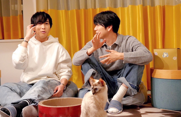 声優・中島ヨシキ＆西山宏太朗、猫だけのライブ配信アプリ「nekochan」で猫尽くしの生配信を実施！