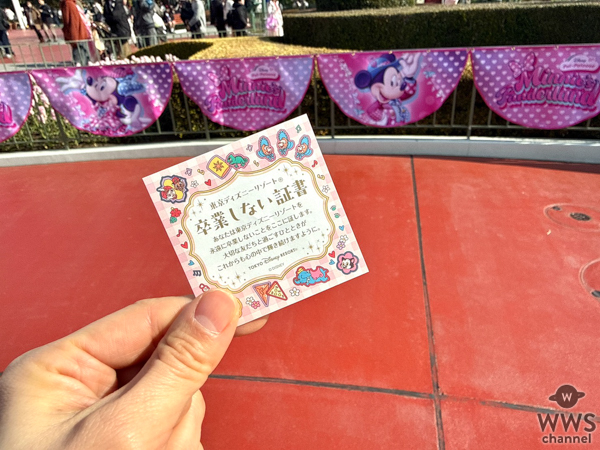 卒業前に行きたい！学生だけの特典満載「春ディズニー！」が東京ディズニーリゾートで開催中