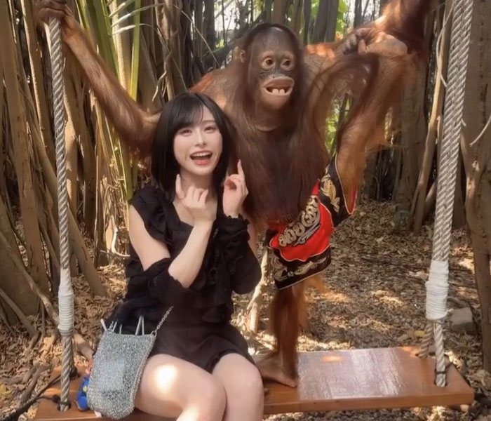 佐藤栞、例のおっぱいオランウータンと衝撃の再会！禁断の密着映像にファン悶絶 「サルに負けた 羨ましすぎる」
