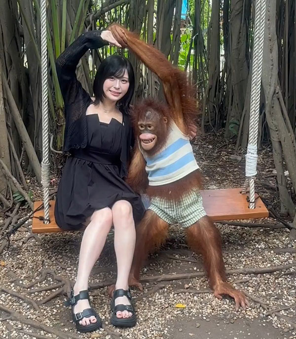 佐藤栞、例のおっぱいオランウータンと衝撃の再会！禁断の密着映像にファン悶絶 「サルに負けた 羨ましすぎる」