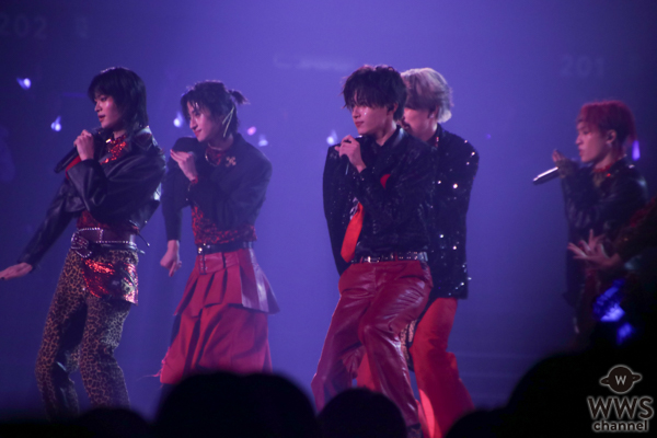 龍宮城、アリーナライブで圧巻のパフォーマンス！全国ワンマンツアー開催決定に会場大熱狂！！！＜龍宮城 ARENA LIVE 2026 -SHIBAI-＞