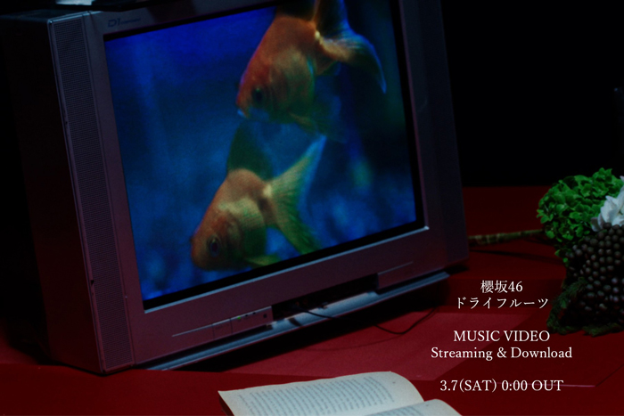 櫻坂46、BACKSメンバーによる新曲『ドライフルーツ』のMUSIC VIDEO公開と先行配信が決定！
