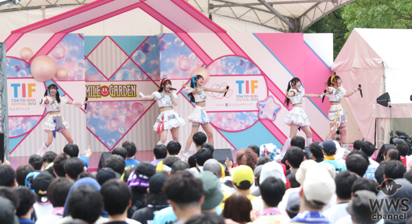 HIBANA＜TOKYO IDOL FESTIVAL 2026＞(C)WWSチャンネル