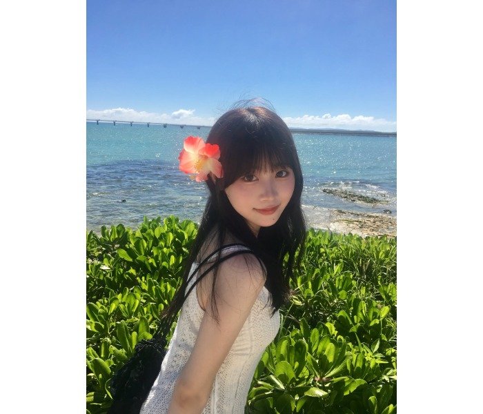 まとめ画像